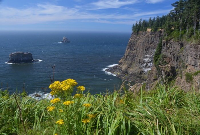 Overlooking the water from Cape Meares